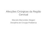 Afecções Cirúrgicas da Região Cervical Marcelo Marcondes Stegani Disciplina de Cirurgia Pediátrica.
