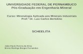 UNIVERSIDADE FEDERAL DE PERNAMBUCO Pós-Graduação em Engenharia Mineral João Paulo Pereira da Silva Bruno Rodrigo Borges Fernandes SCHEELITA Curso: Mineralogia.