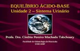EQUILÍBRIO ÁCIDO-BASE Unidade 2 – Sistema Urinário Faculdade de Odontologia de Piracicaba UNICAMP Profa. Dra. Cínthia Pereira Machado Tabchoury.