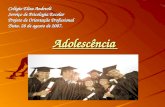 Adolescência Colégio Elisa Andreoli Serviço de Psicologia Escolar Projeto de Orientação Profissional Data. 28 de agosto de 2007.