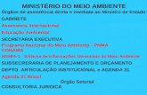 MINISTÉRIO DO MEIO AMBIENTE Órgãos de assistência direta e imediata ao Ministro de Estado GABINETE Assessoria Internacional Educação Ambiental SECRETARIA.
