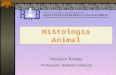 Histologia Animal Disciplina: Biologia Professora: Roberta Fontoura.