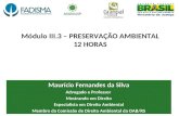 Módulo III.3 – PRESERVAÇÃO AMBIENTAL 12 HORAS Maurício Fernandes da Silva Advogado e Professor Mestrando em Direito Especialista em Direito Ambiental Membro.
