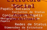 Status Social Papéis Sociais Conjuntos de Status Conjuntos de Papéis Obrigações e Conflitos de Papéis Redes de Status Dimensões da Estrutura Social Estrutura.