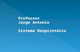 Professor Jorge Antonio Sistema Respiratório. A função do sistema respiratório é facultar ao organismo uma troca de gases com o ar atmosférico, assegurando.