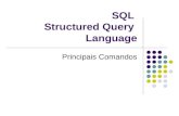 SQL Structured Query Language Principais Comandos.