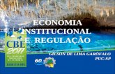 ECONOMIA INSTITUCIONAL E REGULAÇÃO GÍLSON DE LIMA GARÓFALO PUC-SP.