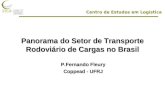 Centro de Estudos em Logística Panorama do Setor de Transporte Rodoviário de Cargas no Brasil P.Fernando Fleury Coppead - UFRJ.