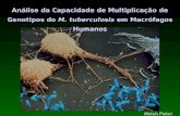 Análise da Capacidade de Multiplicação de Genotipos do M. tuberculosis em Macrófagos Humanos Moisés Palaci.