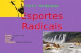E.E.E.F. Rui Barbosa Esportes Radicais Nomes : Flávia e Luiza Turma: 82 Série: 8ª Professora: Adriana Fernandes.
