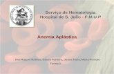 Serviço de Hematologia Hospital de S. João - F.M.U.P Anemia Aplástica Ana Raquel Robles, Gisela Ferreira, Joana Faria, Maria Peixoto Turma 1.