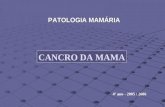 PATOLOGIA MAMÁRIA CANCRO DA MAMA 4º ano - 2005 / 2006.