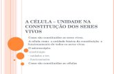 A CÉLULA – UNIDADE NA CONSTITUIÇÃO DOS SERES VIVOS - Como são constituídos os seres vivos. - A célula como a unidade básica da constituição e funcionamento.