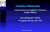 Prof.Doutor José Cabeda Genética Molecular Licenciatura em Análises Clínicas e Saúde Pública Recombinação V(D)J: Os genes das Ig e do TCR.
