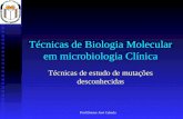 Prof.Doutor José Cabeda Técnicas de Biologia Molecular em microbiologia Clínica Técnicas de estudo de mutações desconhecidas.