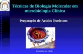 Prof.Doutor José Cabeda Técnicas de Biologia Molecular em microbiologia Clínica Preparação de Ácidos Nucleicos.