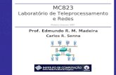 Prof. Edmundo R. M. Madeira Carlos R. Senna MC823 Laboratório de Teleprocessamento e Redes Primeiro Semestre 2009.