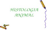 HISTOLOGIA ANIMAL. HISTOLOGIA É O RAMO DA BIOLOGIA QUE ESTUDA OS TECIDOS Histo (tecido); Logia (estudo) Tecidos são conjuntos de células diferenciadas.