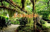 Ecologia (do grego oikos casa e logos estudo) é o estuda das relações entre os seres vivos e o ambiente em que vivem.