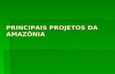 PRINCIPAIS PROJETOS DA AMAZÔNIA PROJETO CALHA NORTE OBJETIVOS PRINCIPAIS: OBJETIVOS PRINCIPAIS: - organizar áreas de garimpo - organizar áreas de garimpo.