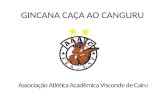 GINCANA CAÇA AO CANGURU Associação Atlética Acadêmica Visconde de Cairu.