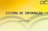SISTEMA DE INFORMAÇÃO Turma ADS 0019. SISTEMAS DE SUPORTE GERENCIAL.
