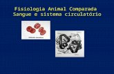 Fisiologia Animal Comparada Sangue e sistema circulatório.