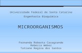 Fernanda Roberta Casagrande Rebecca Weber Tatiane Regina dos Santos Universidade Federal de Santa Catarina Engenharia Bioquímica MICROORGANISMOS.