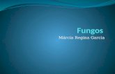 Márcia Regina Garcia. Estruturas celulares dos fungos Cápsula (presente em alguns fungos); Parede celular; Membrana celular; Citoplasma.