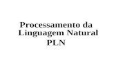 Processamento da Linguagem Natural PLN. Processamento de Linguagem Natural O processamento de linguagem natural é o estudo dos sistemas computacionais.