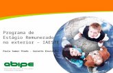 Programa de Estágio Remunerado no exterior – IAESTE Paula Semer Prado - Gerente Executiva.