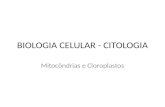 BIOLOGIA CELULAR - CITOLOGIA Mitocôndrias e Cloroplastos.