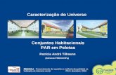 Caracterização do Universo Conjuntos Habitacionais PAR em Pelotas Patrícia André Tillmann (bolsista PIBIC/CNPq) REQUALI – Gerenciamento de requisitos e.