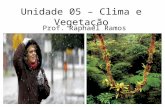 Unidade 05 – Clima e Vegetação Prof. Raphael Ramos.