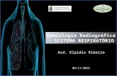 Acd. Elpidio Ribeiro 05/11/2012. IMAGEM RADIOGRÁFICA DO SISTEMA RESPIRATÓRIO Objetivos Falar sobre radiografia de tórax – Incidências – Parâmetros técnicos.