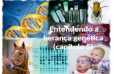 Entendendo a herança genética (capítulo 5) Ana Paula Souto 2013.