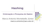 Hashing Marco Antonio Montebello Júnior marco.antonio@aes.edu.br Ordenação e Pesquisa de Dados.