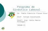 Programa de Ginástica Laboral Dr. Pablo Fabrício Flores Dias Prof. Felipe Giovenardi Profª. Esp. Sonia Maria Krindges SOGAB-CS.