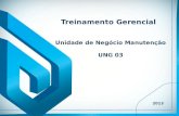 Treinamento Gerencial 2013 Unidade de Negócio Manutenção UNG 03.