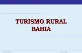 TURISMO RURALJUNHO - 2008 TURISMO RURAL BAHIA. TURISMO RURALJUNHO - 2008 MISSÃO: Estímular e apoiar o Desenvolvimento Sustentável do Turismo Rural no.