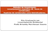 Pós-Graduação em Licenciamento Ambiental Profa Briseidy Marchesan Soares Métodos de Amostragem. Levantamentos expeditos da fauna de vertebrados. Espécies.