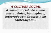 A CULTURA SOCIAL A cultura social não é uma cultura única, homogênea, integrada sem fissuras nem contradições... 1.