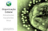 Organização Celular Procariontes Eucariontes Vírus Professor Guilherme gogoulart@gmail.com.