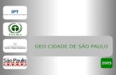 GEO CIDADE DE SÃO PAULO 2005. ETAPA 4 INCORPORAÇÃO DAS PROPOSTAS ÀS POLÍTICAS LOCAIS ETAPA 5 CONTINUIDADE DO PROCESSO GEO-CIDADES Discussão c/ formuladores.