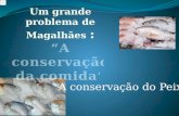 Tipos de conservação do peixe: Salga: Método utilizado para preservar o pescado através da penetração do sal no interior dos tecidos musculares, reduzindo.