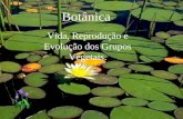 Botânica Vida, Reprodução e Evolução dos Grupos Vegetais.