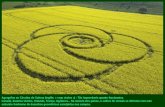 Agrogrifos ou Círculos de Cultura (inglês: « crop circles ») : Tão improváveis quanto fascinantes. Canadá, Estados Unidos, Holanda, França, Inglaterra...