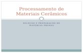 SELEÇÃO E PREPARAÇÃO DE MATÉRIAS PRIMAS Processamento de Materiais Cerâmicos.