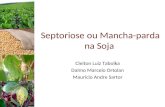Septoriose ou Mancha-parda na Soja Cleiton Luiz Tabolka Dalmo Marcelo Ortolan Mauricio Andre Sartor.