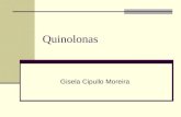 Quinolonas Gisela Cipullo Moreira. Principais Agentes Antibacterianos – Classificação 1- Inibidores da síntese ou da ação do folato Sulfonamidas Sulfonamidas.